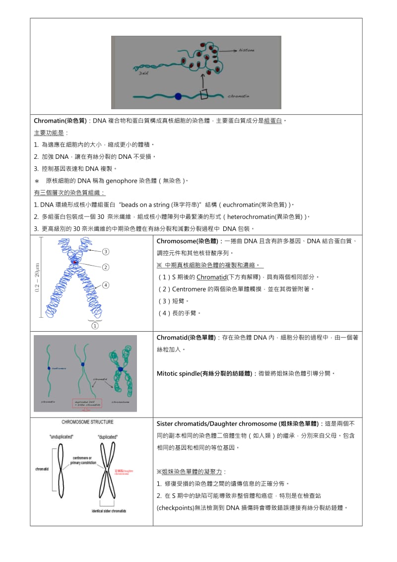 细胞细胞分裂,细胞周期.doc_第2页