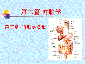 组织胚胎3.ppt