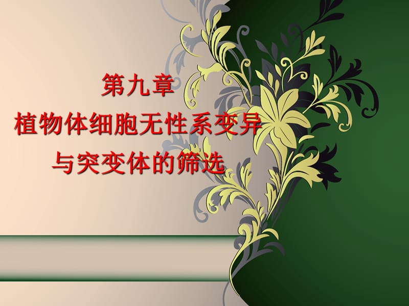 11细工第10章.ppt_第1页