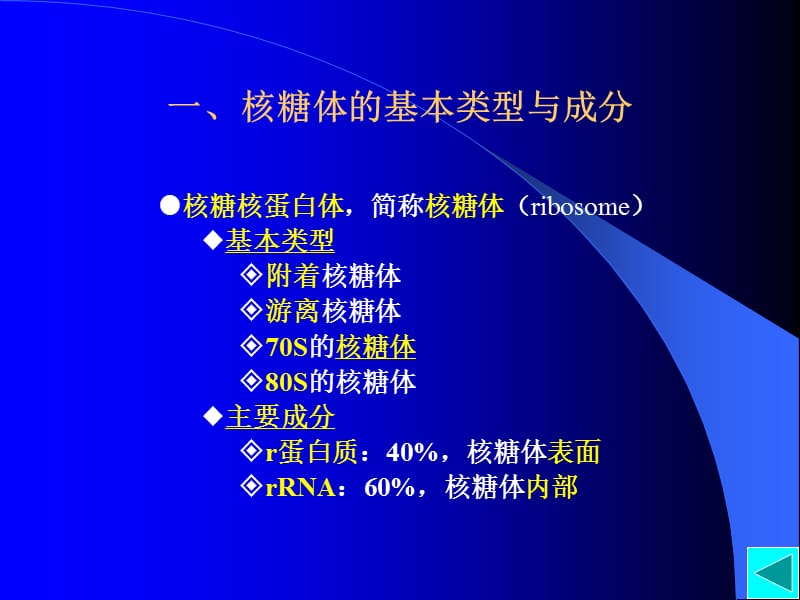 09第九章核糖体.ppt_第3页