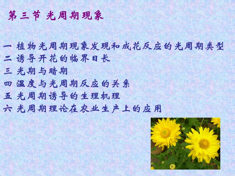 10第十三章——光周期现象.ppt_第2页