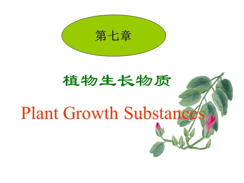 第七章植物生长物质改IAA,GA,CTK---刘洪庆.ppt_第1页