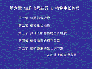 06第六章.ppt