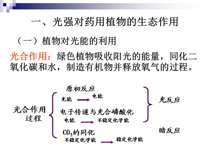 药用植物与光.ppt_第3页