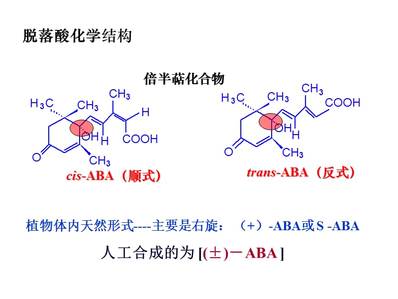 第七章植物生长物质改ABA-ETH---刘洪庆.ppt_第3页