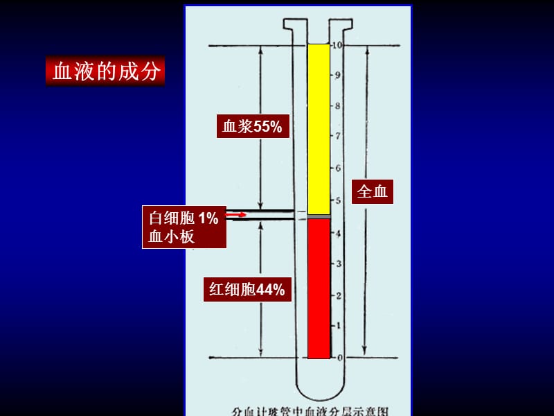 02-人体基本组织-2.ppt_第2页