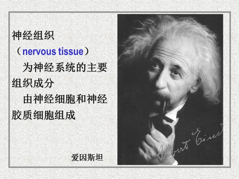 组织与胚胎学临床应用.ppt_第2页