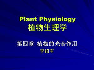 04PLANT.ppt