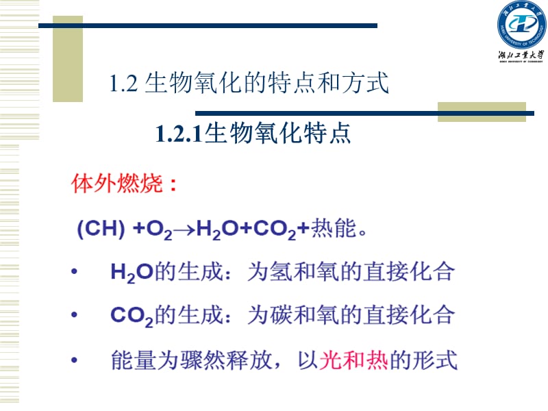 第七章生物氧化-2011.ppt_第3页