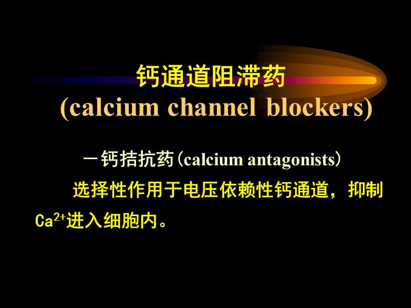 药理学钙拮抗药2004级.ppt_第2页