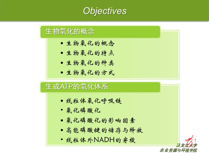 05-生物氧化与氧化磷酸化.ppt_第2页