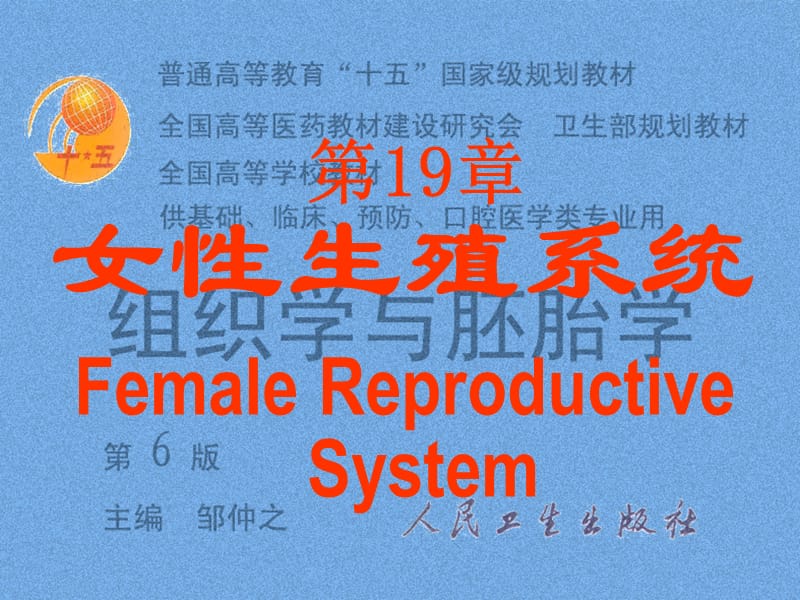 组织胚胎学19女性生殖1.ppt_第1页