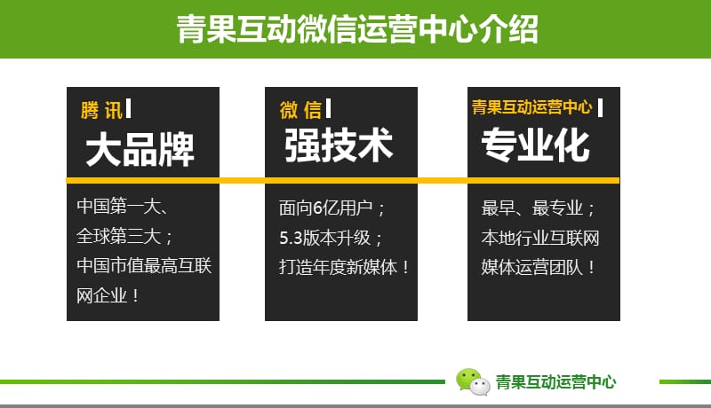 微信项目运营项目手册.ppt_第3页