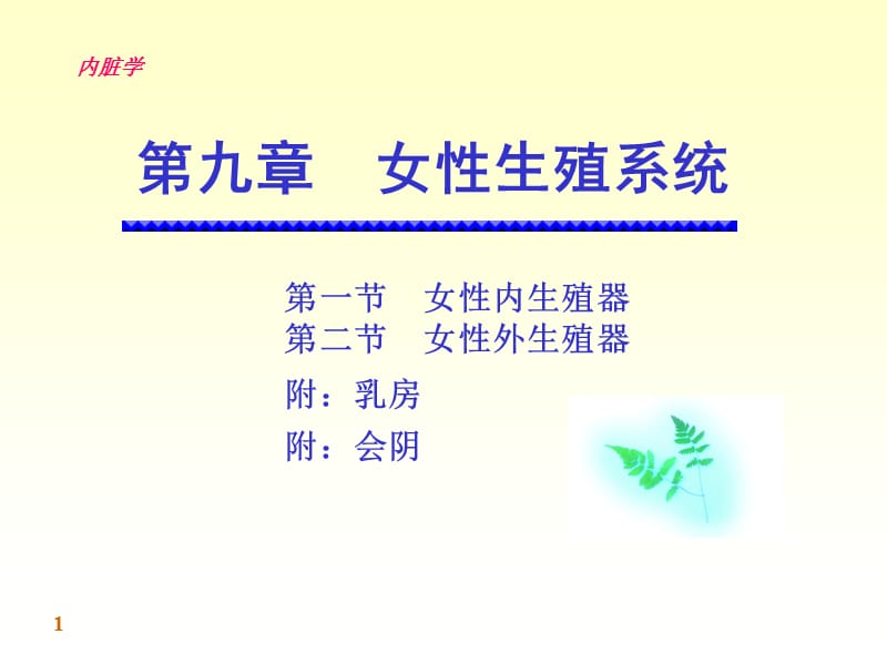 09-女性生殖系统-1.ppt_第1页