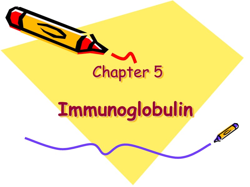 05Immunoglobulin.ppt_第1页