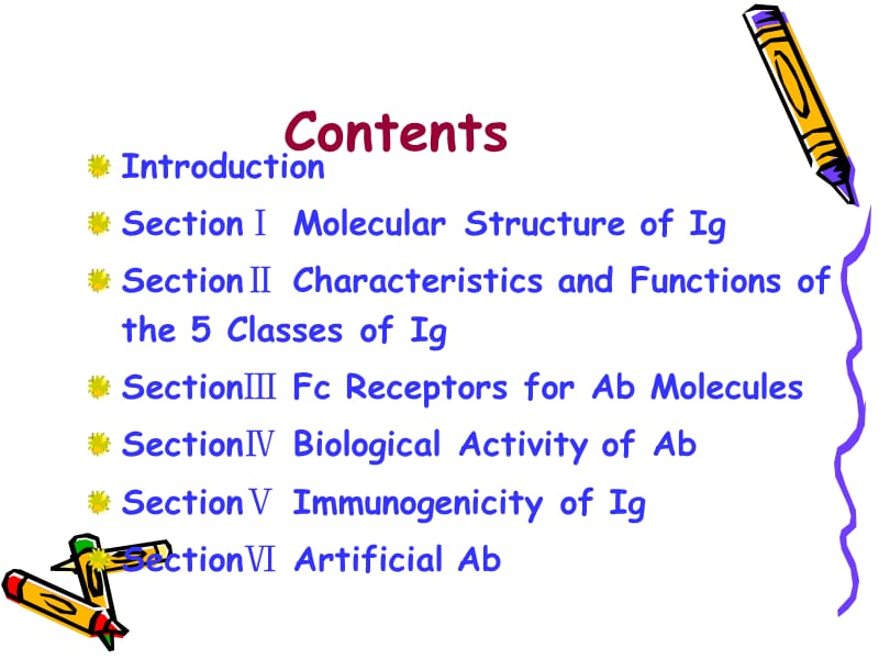 05Immunoglobulin.ppt_第2页