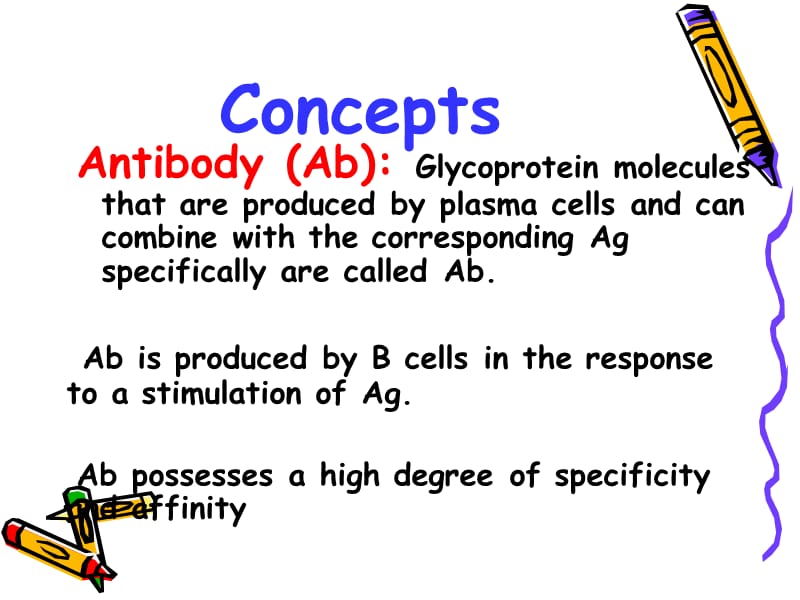 05Immunoglobulin.ppt_第3页