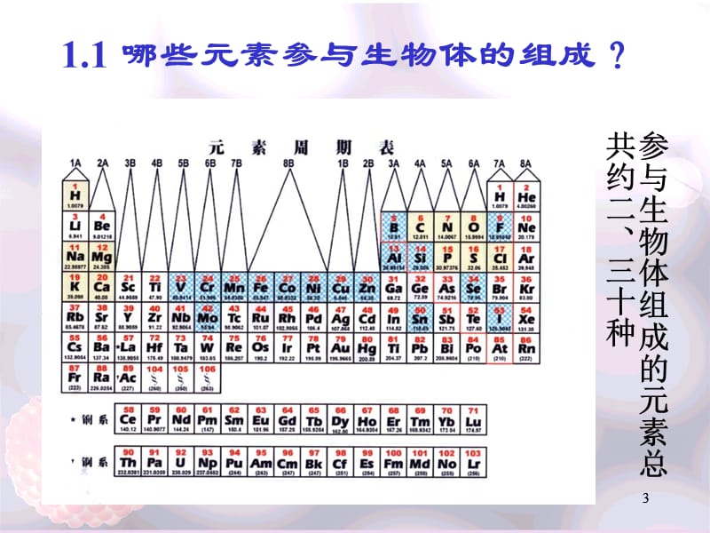 05讲-生命的化学基础.ppt_第3页