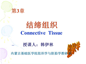 组织学第3章结缔组织.ppt