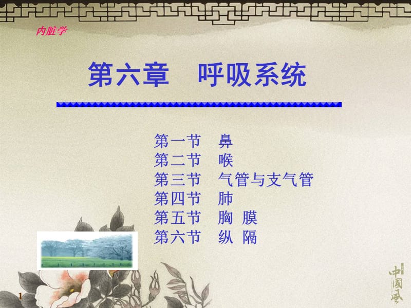 10呼吸系统.ppt_第1页