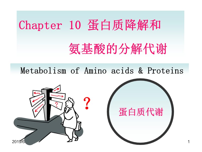 10蛋白质的降解和氨基酸的分解代谢.ppt_第1页