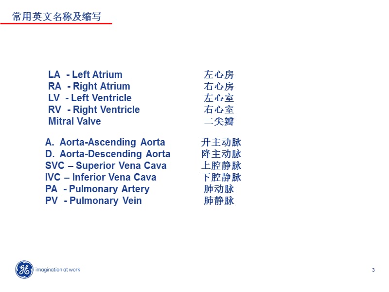 心脏解剖.ppt_第3页