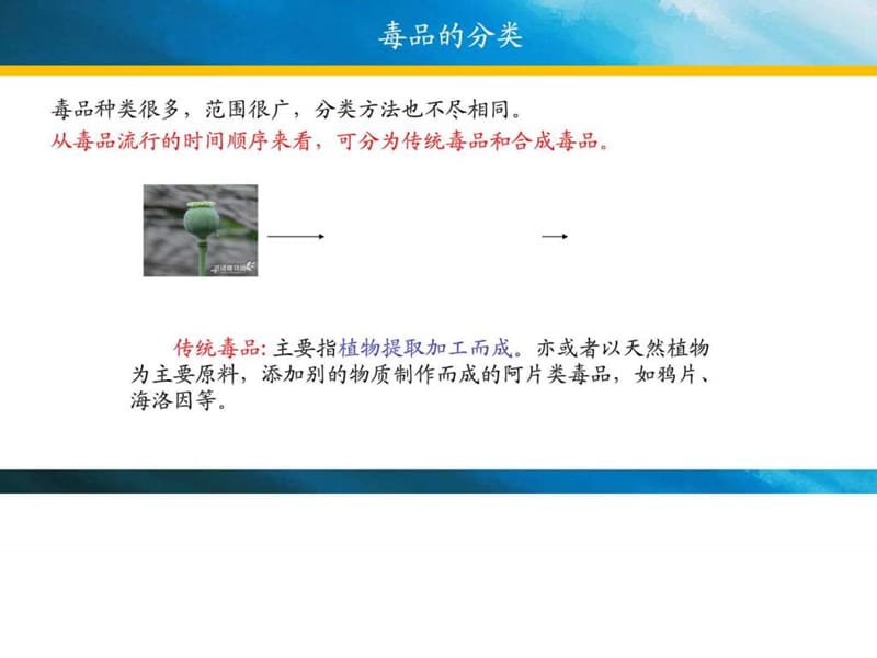 2015.11.20禁毒及学生资助宣传_图文.ppt.ppt_第3页