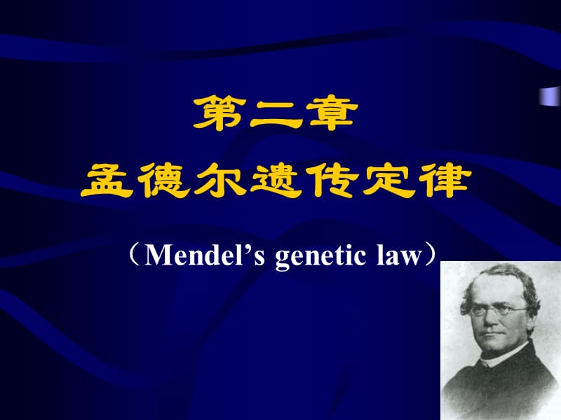 遗传学-孟德尔定律.ppt_第1页
