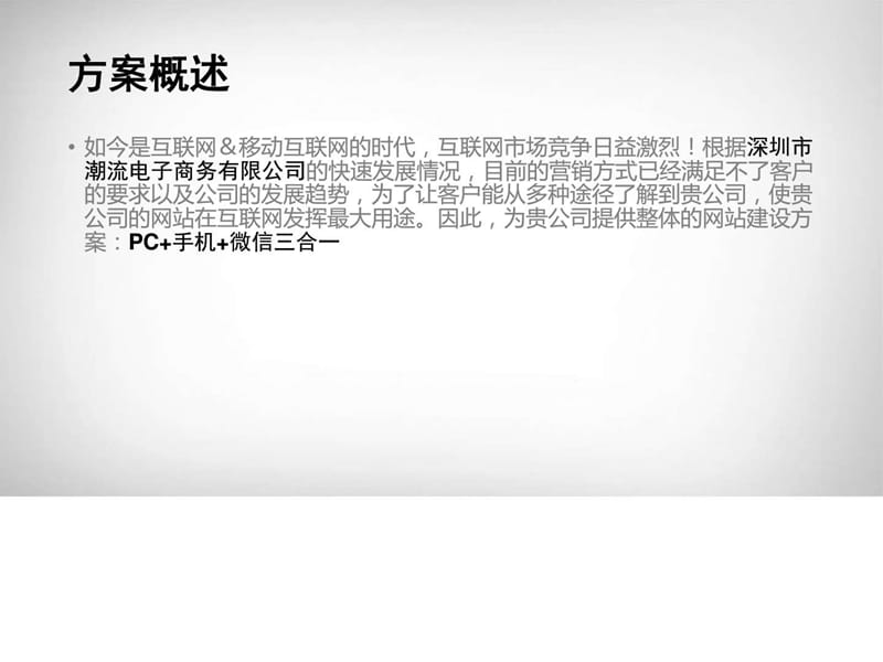 2017年网站改版策划方案(潮流电子)(1)_图文.ppt.ppt_第3页