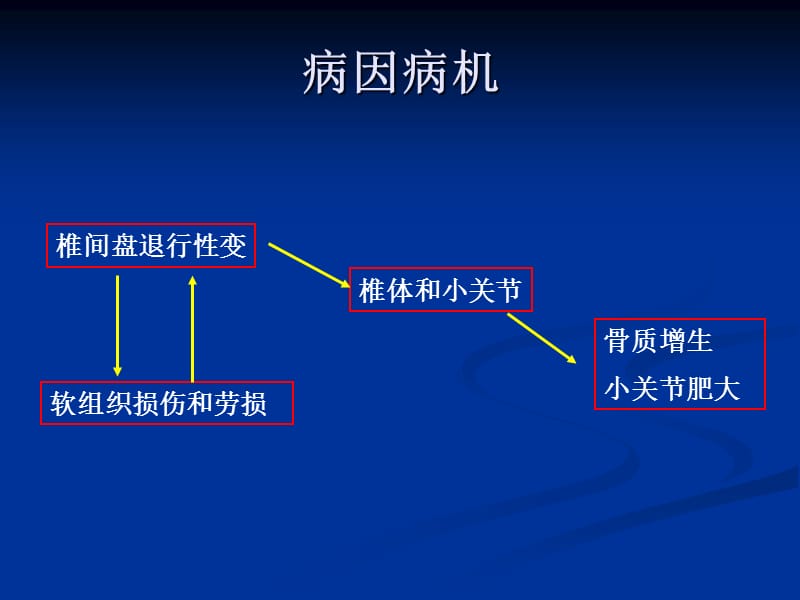 退行性脊柱炎.ppt_第3页