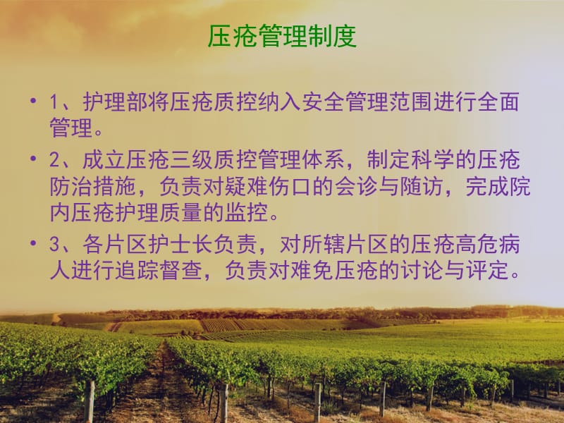 压疮的管理制度和护理措施.ppt_第2页