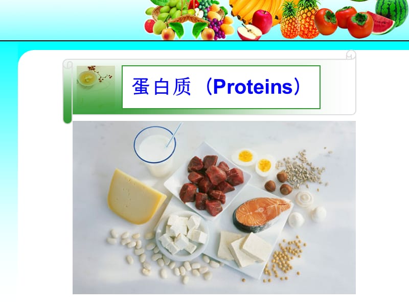 营养素与热能--蛋白质.ppt_第2页