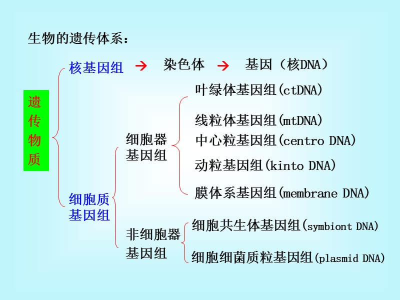 12第十一章细胞质遗传x.ppt_第3页