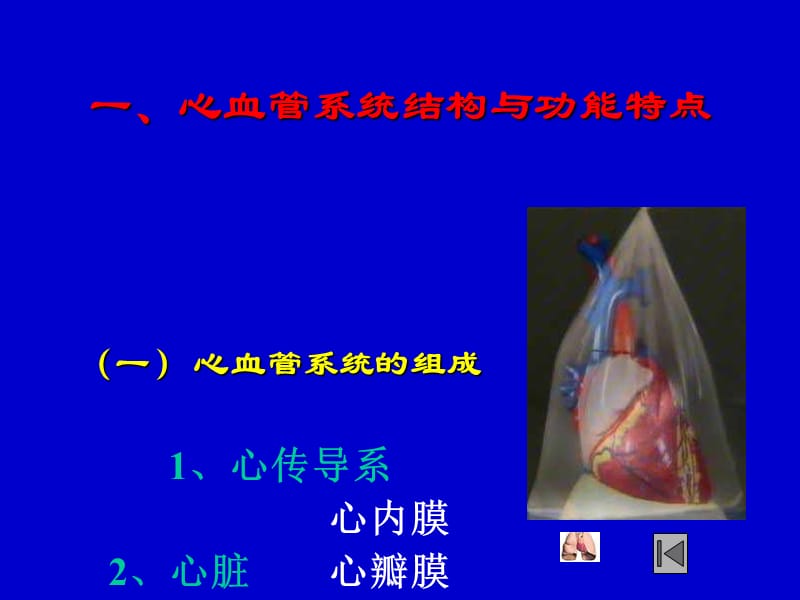 心血管疾病.ppt_第2页