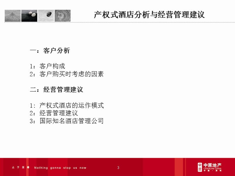 009产权式酒店客户分析与经营管理建议(中原地产).ppt_第3页