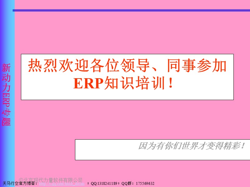 erp提高企业管理水平的系统工程.ppt_第2页