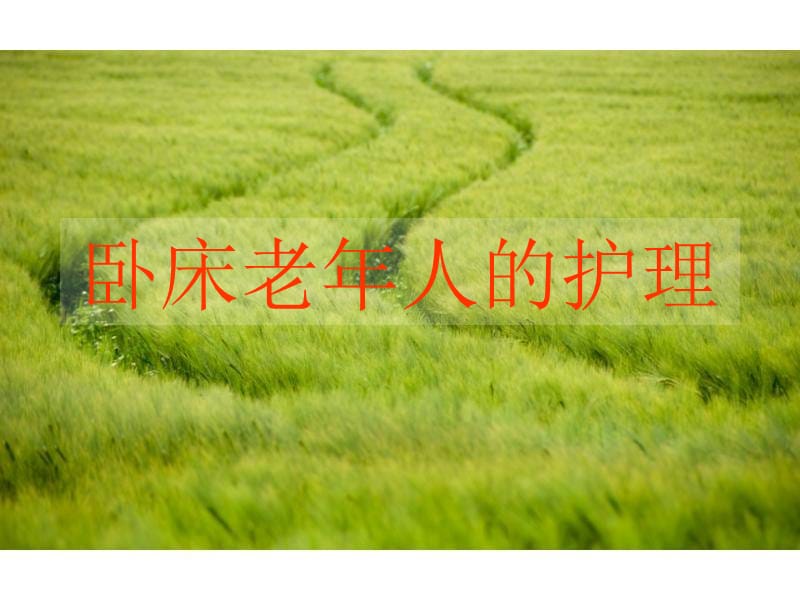 卧床老人的护理.ppt_第1页