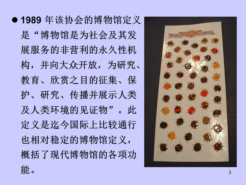 14-5-8-昆虫与博物馆藏文化.ppt_第3页