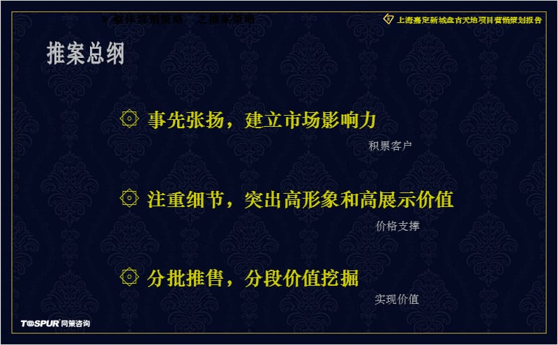 009上海嘉定盘古天地营销策划定位30p（业务策略）.ppt_第2页