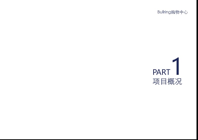 2013年英国伯明翰斗牛场购物中心项目调研报告.ppt_第3页