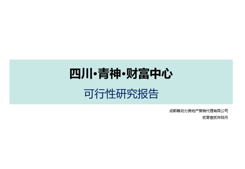 四川·青神·财富中心可行性研究报告96P.ppt_第1页