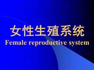 16-女性生殖系统.ppt