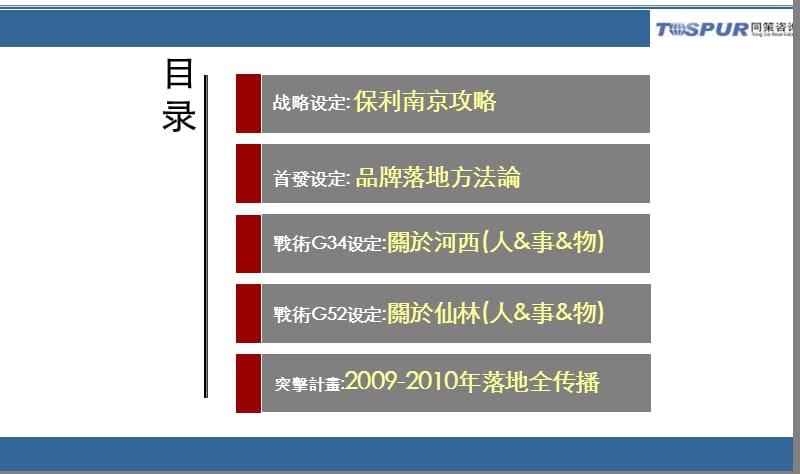 009保利南京项目前期策划及物业发展建议48p.ppt_第2页