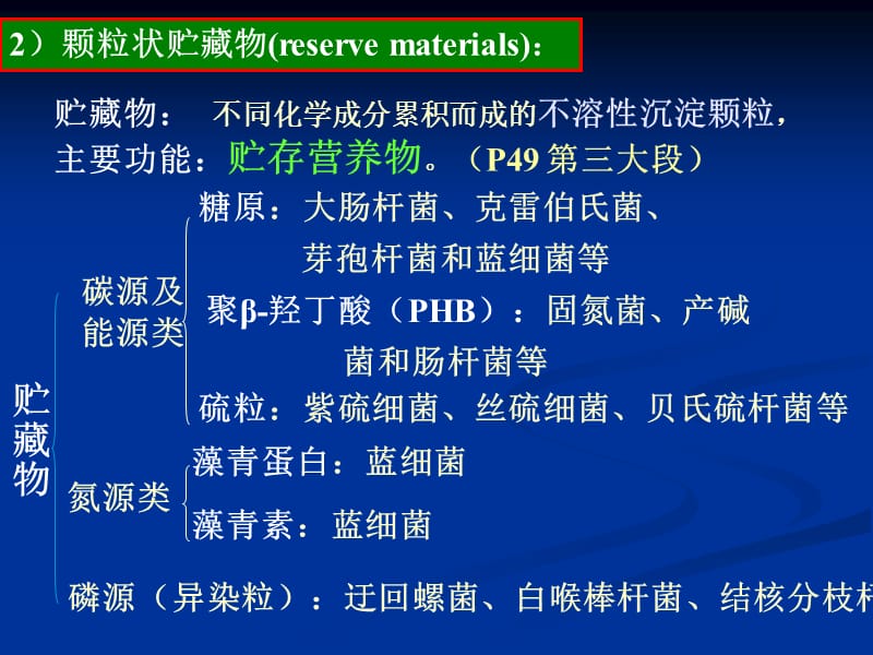 3结构与功能2.ppt_第2页