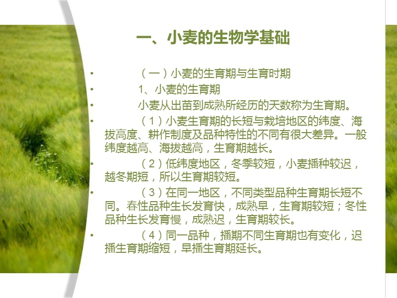 小麦栽培技术.ppt_第2页