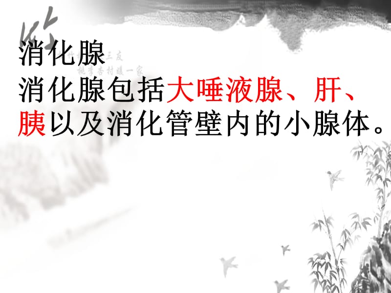 消化系统--消化腺.ppt_第3页