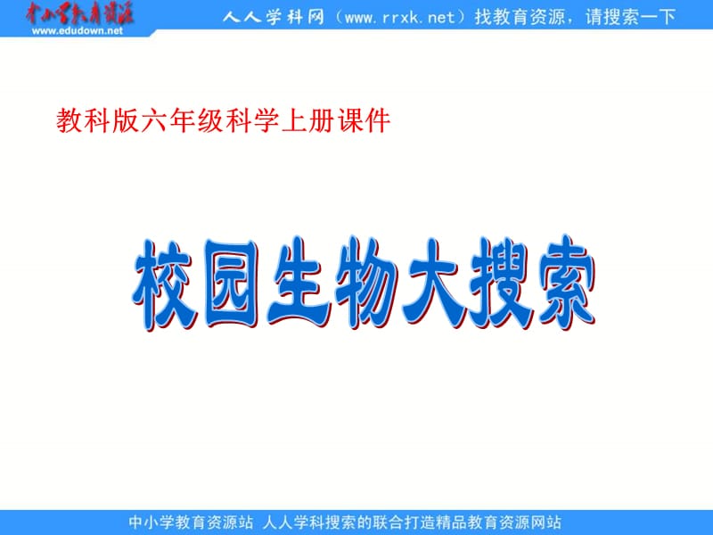 41教科版科学六上《校园生物大搜索》.ppt_第1页