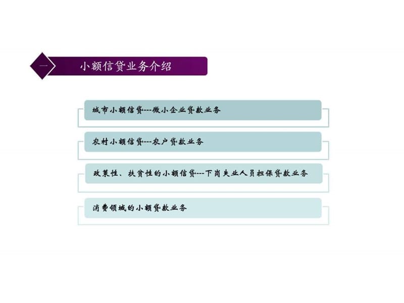 小额贷款业务流程与实践_1429449242.ppt_第2页