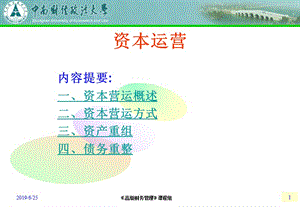 高级财务管理-资本运营ppt课件.ppt