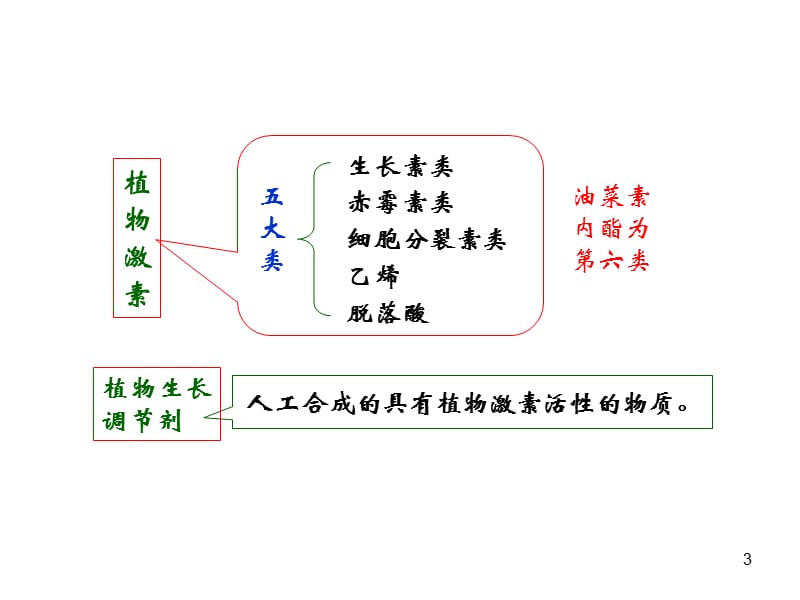 5生长物质.ppt_第3页